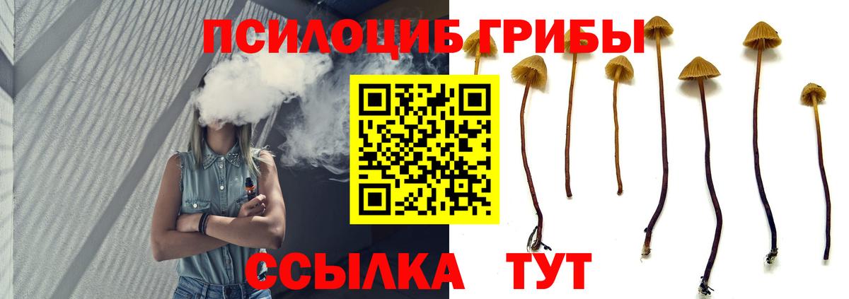 Галлюциногенные грибы Psilocybine cubensis Кыштым
